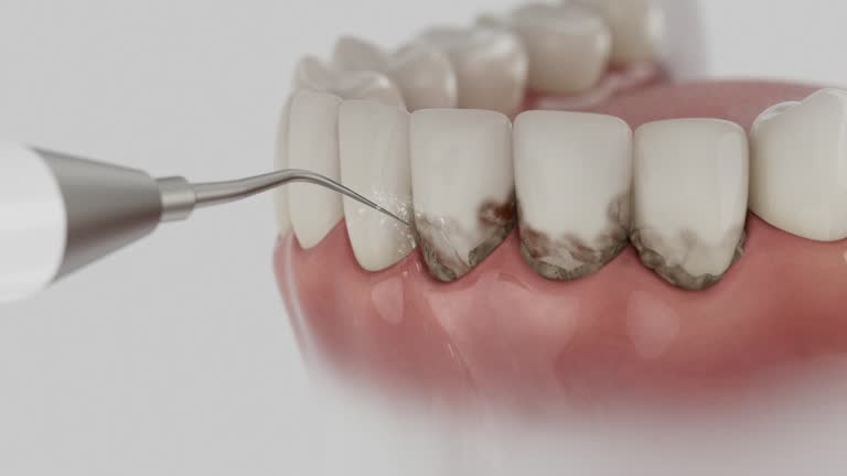 Reliable Dental contractor in Level Park-Oak Park, MI by Dentist Open Now